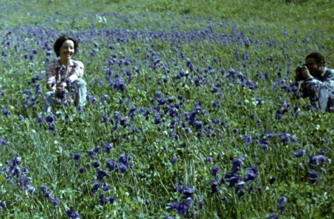 309a.JPG