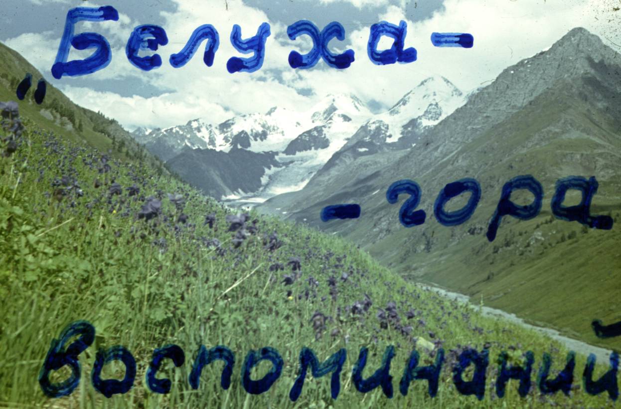 330.JPG