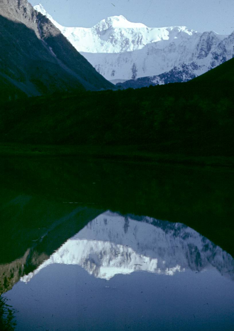 355.JPG