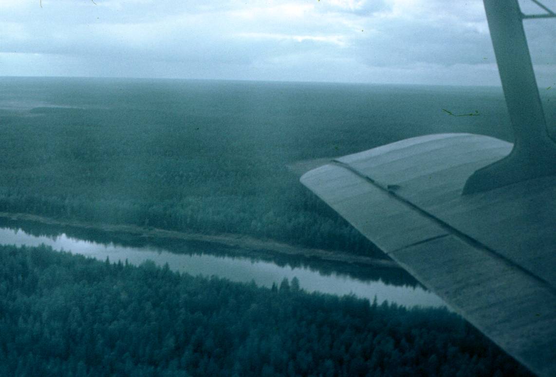042.JPG