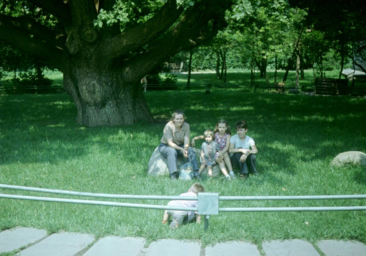 208.JPG