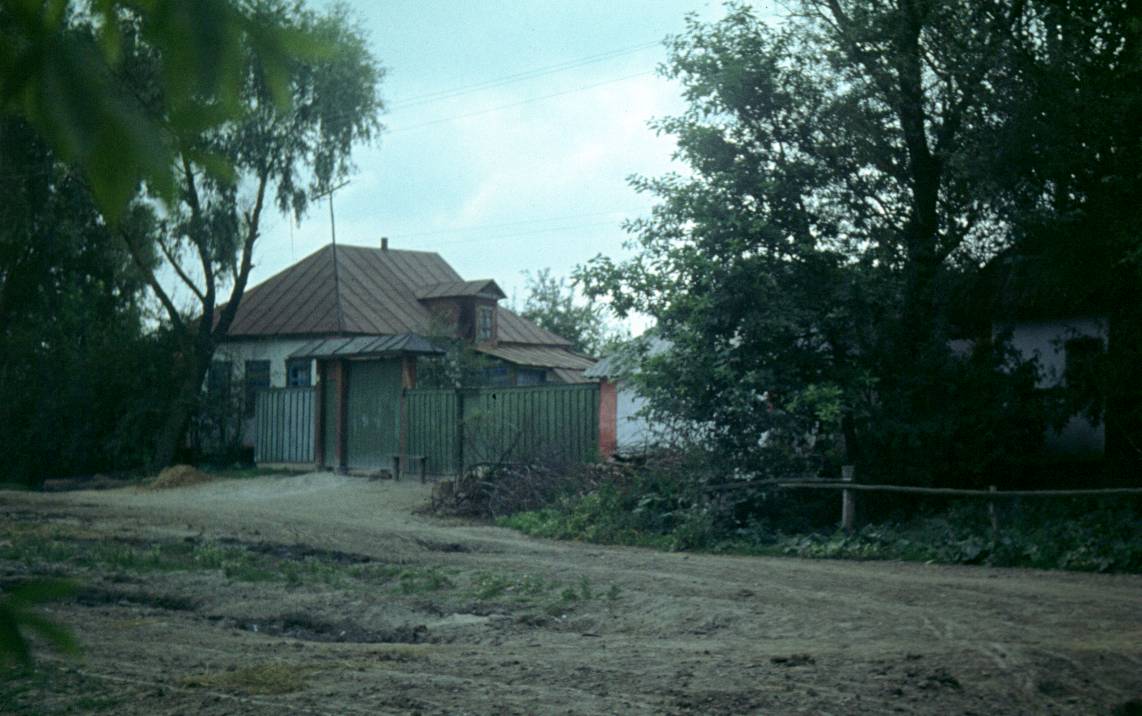 282.JPG