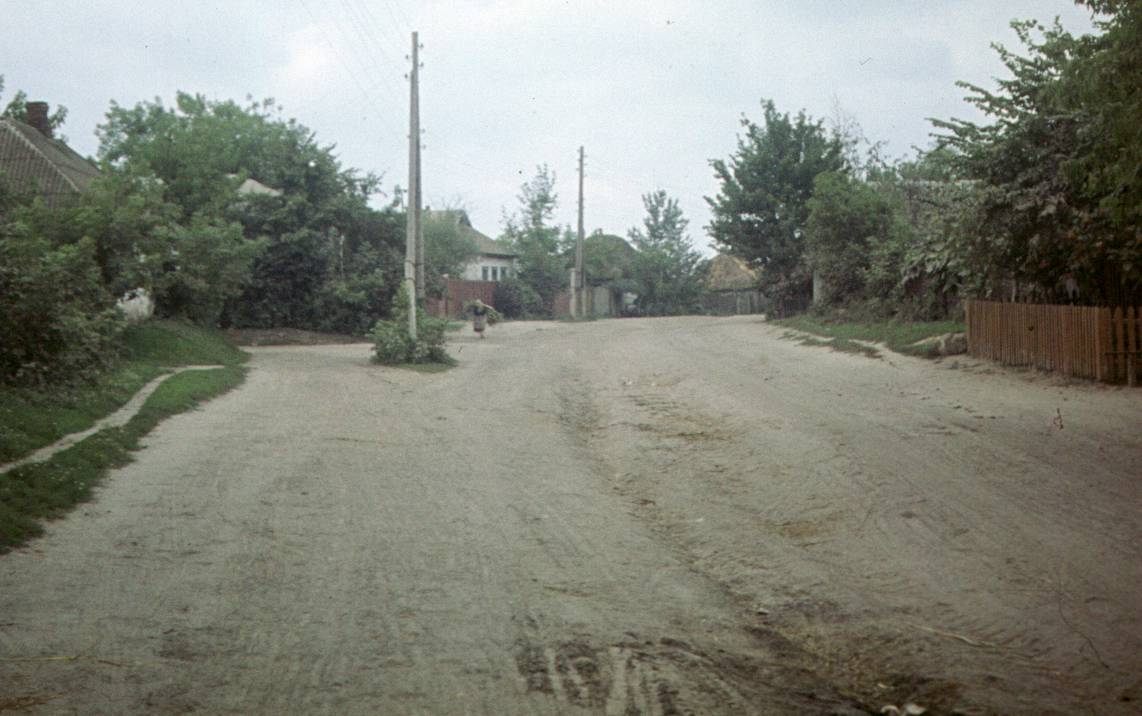 283.JPG