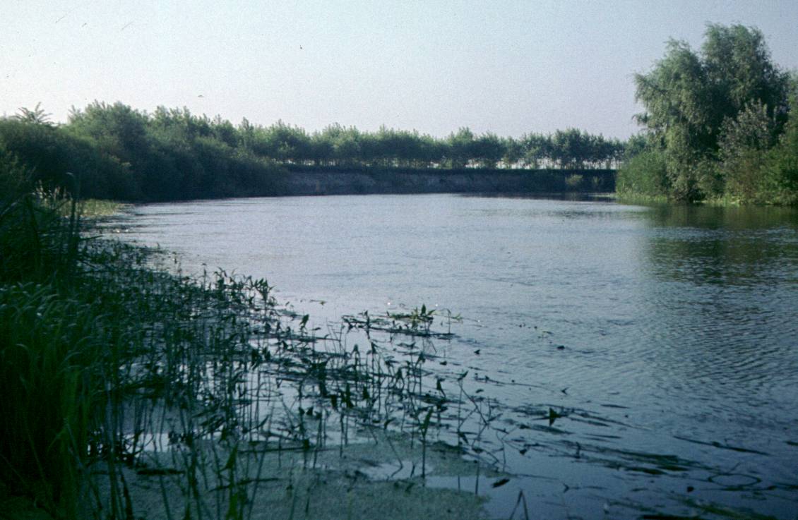 290.JPG