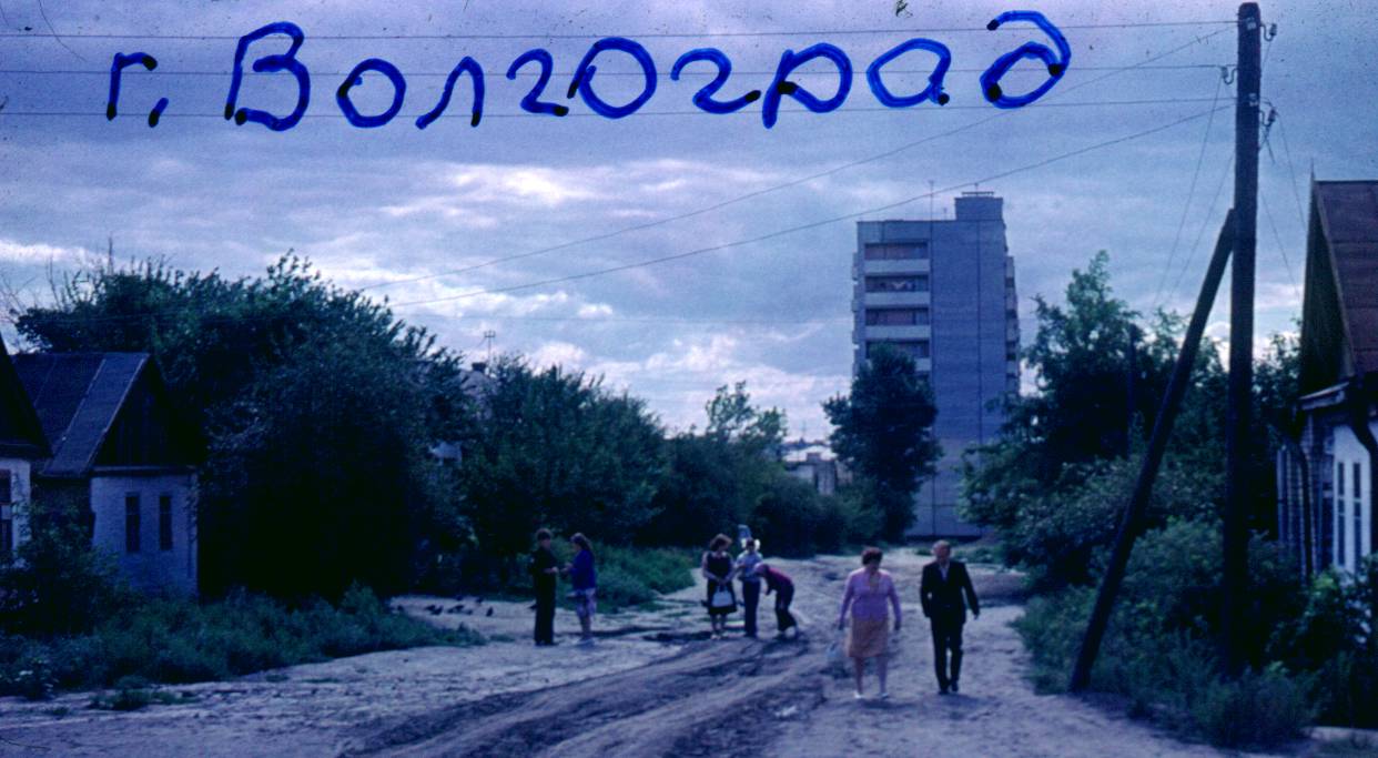 295.JPG