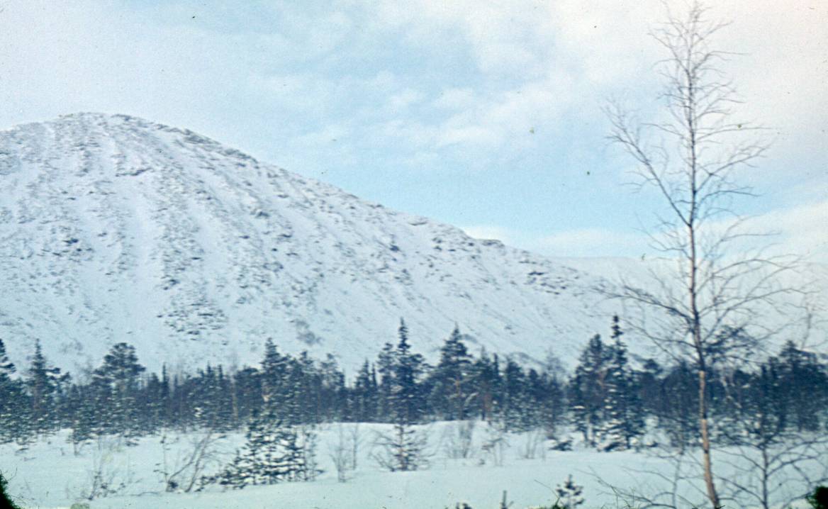 032.JPG