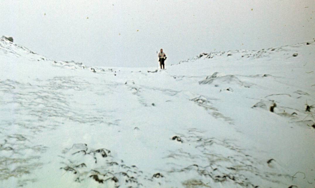 033.JPG