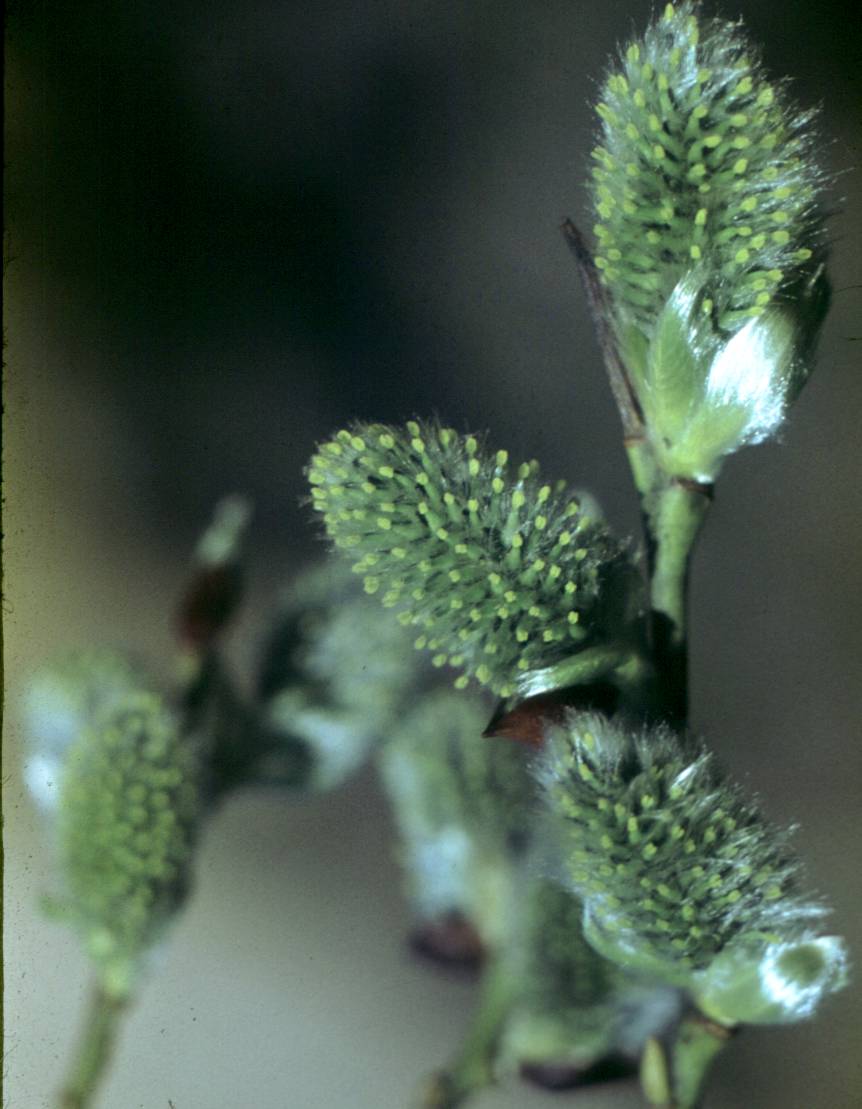 104.JPG
