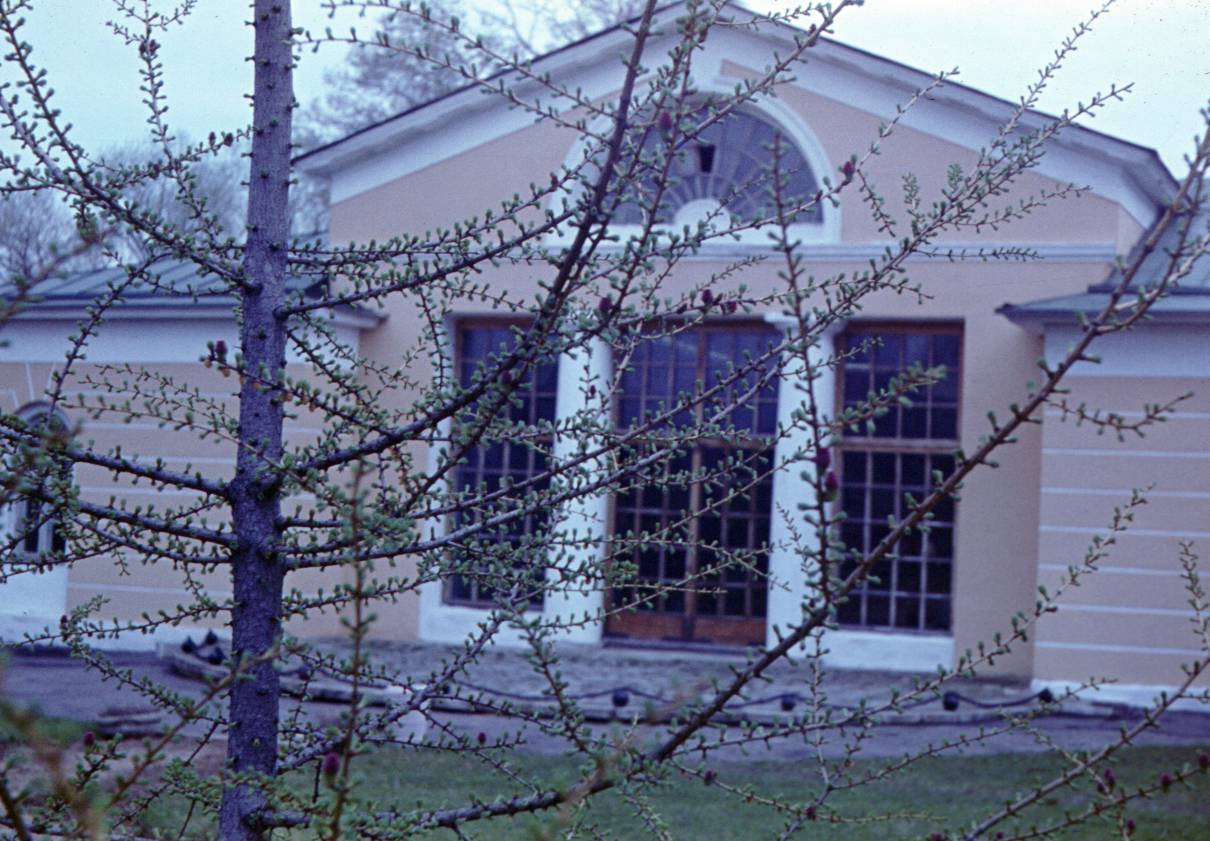 172.JPG