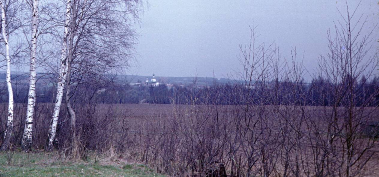 175.JPG