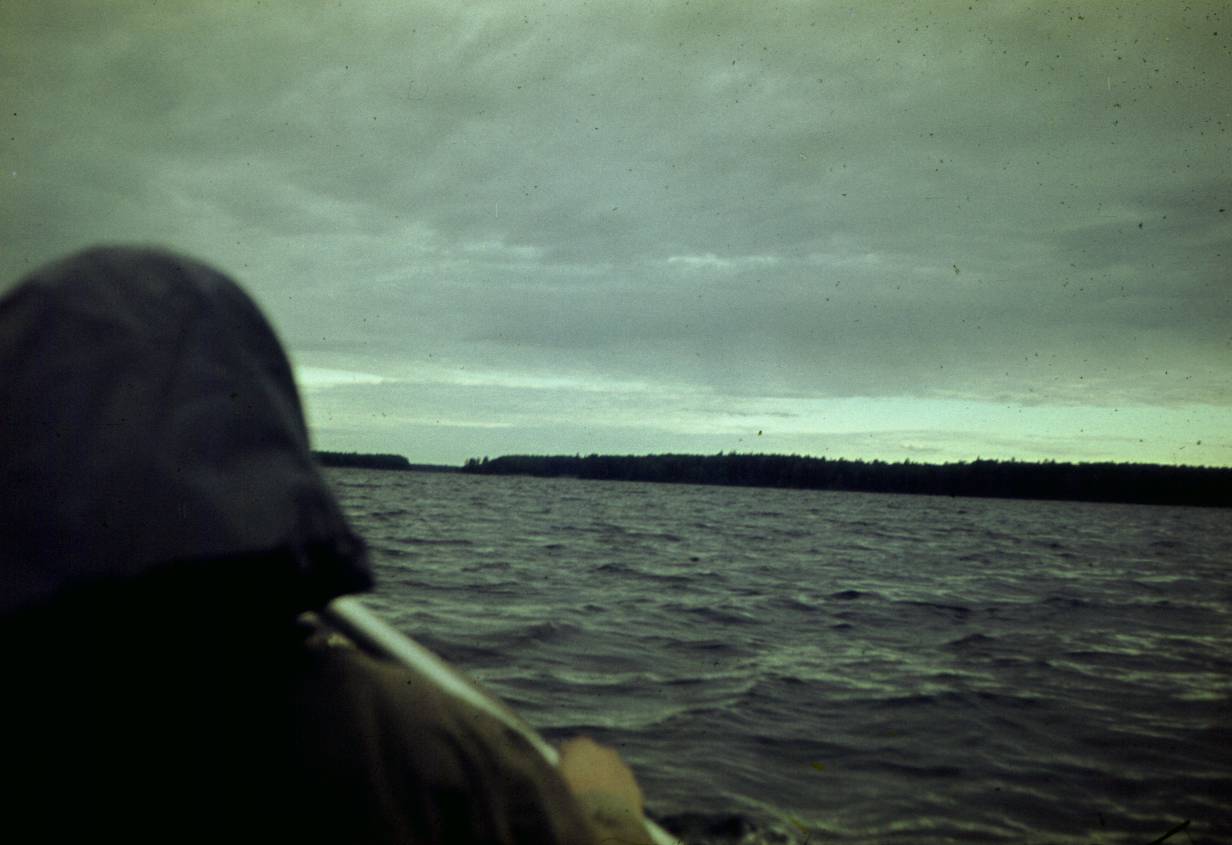041.JPG
