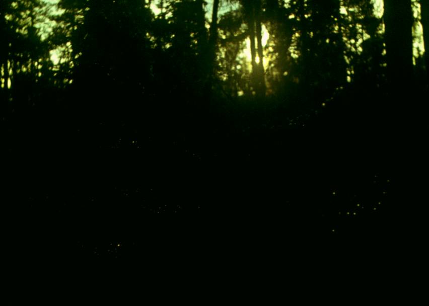 072.JPG