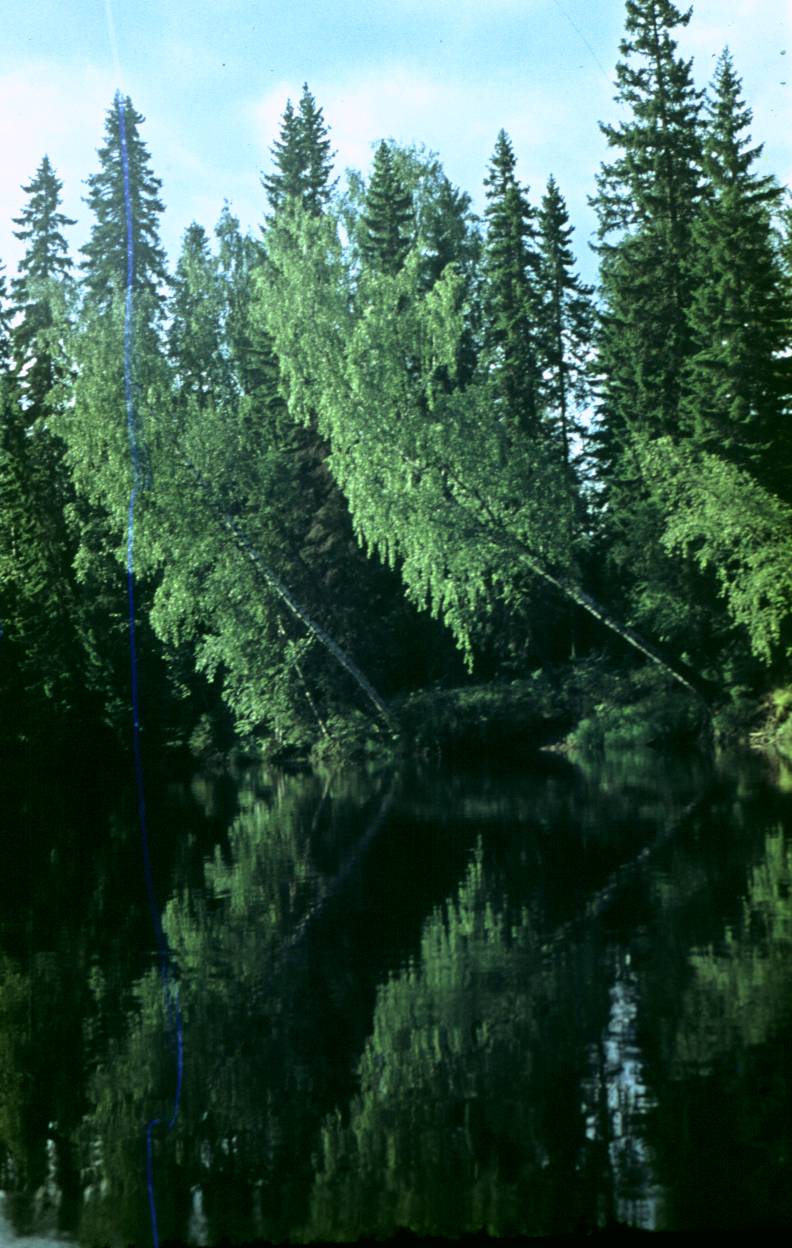 113.JPG