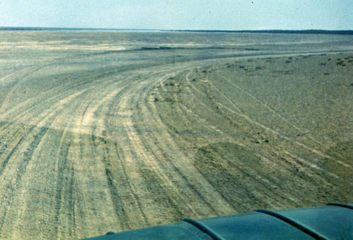 052.JPG
