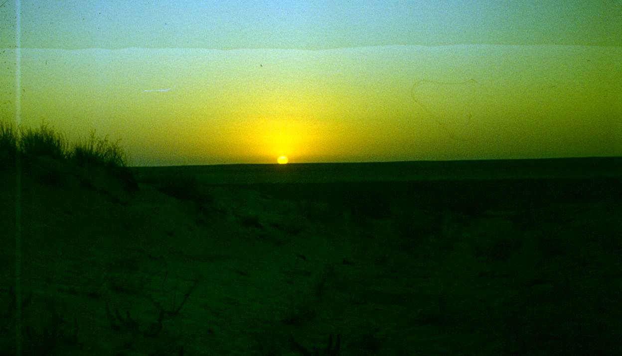 053.JPG