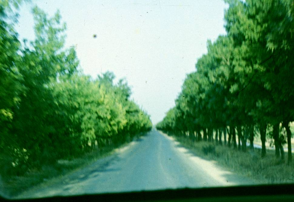 009.JPG