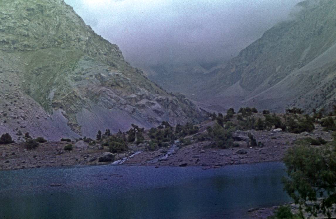 042.JPG