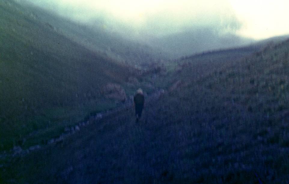048.JPG