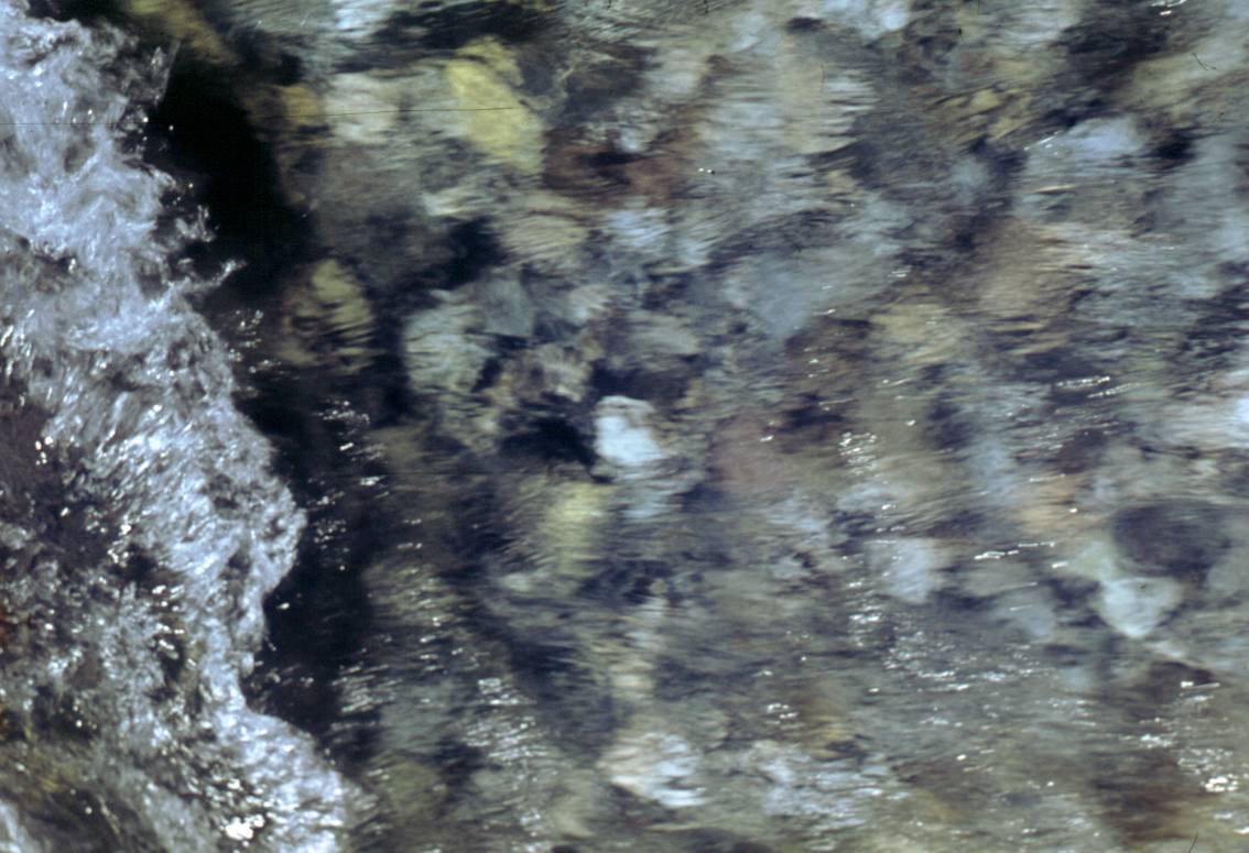 118.JPG