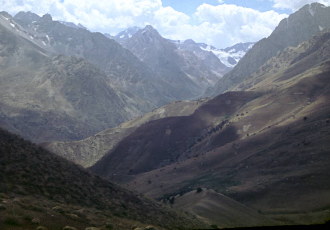 145.JPG