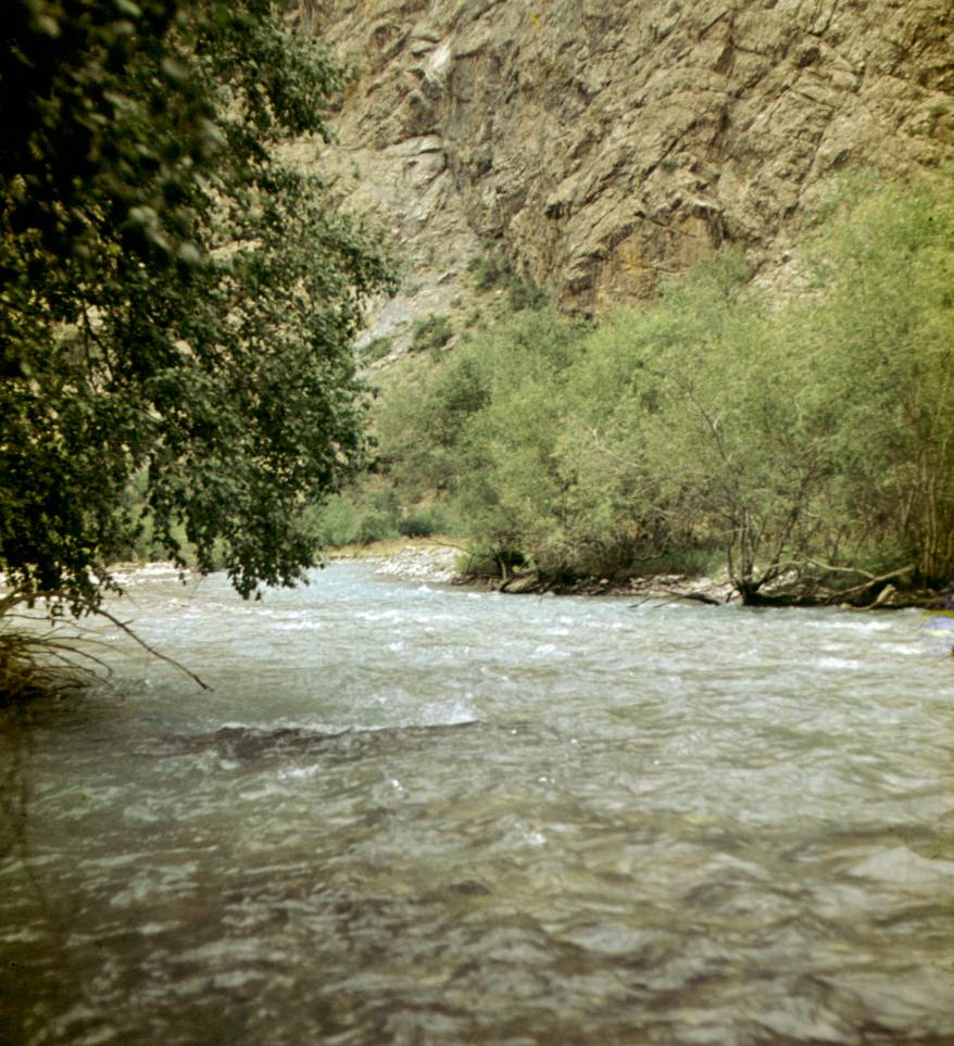 179.JPG