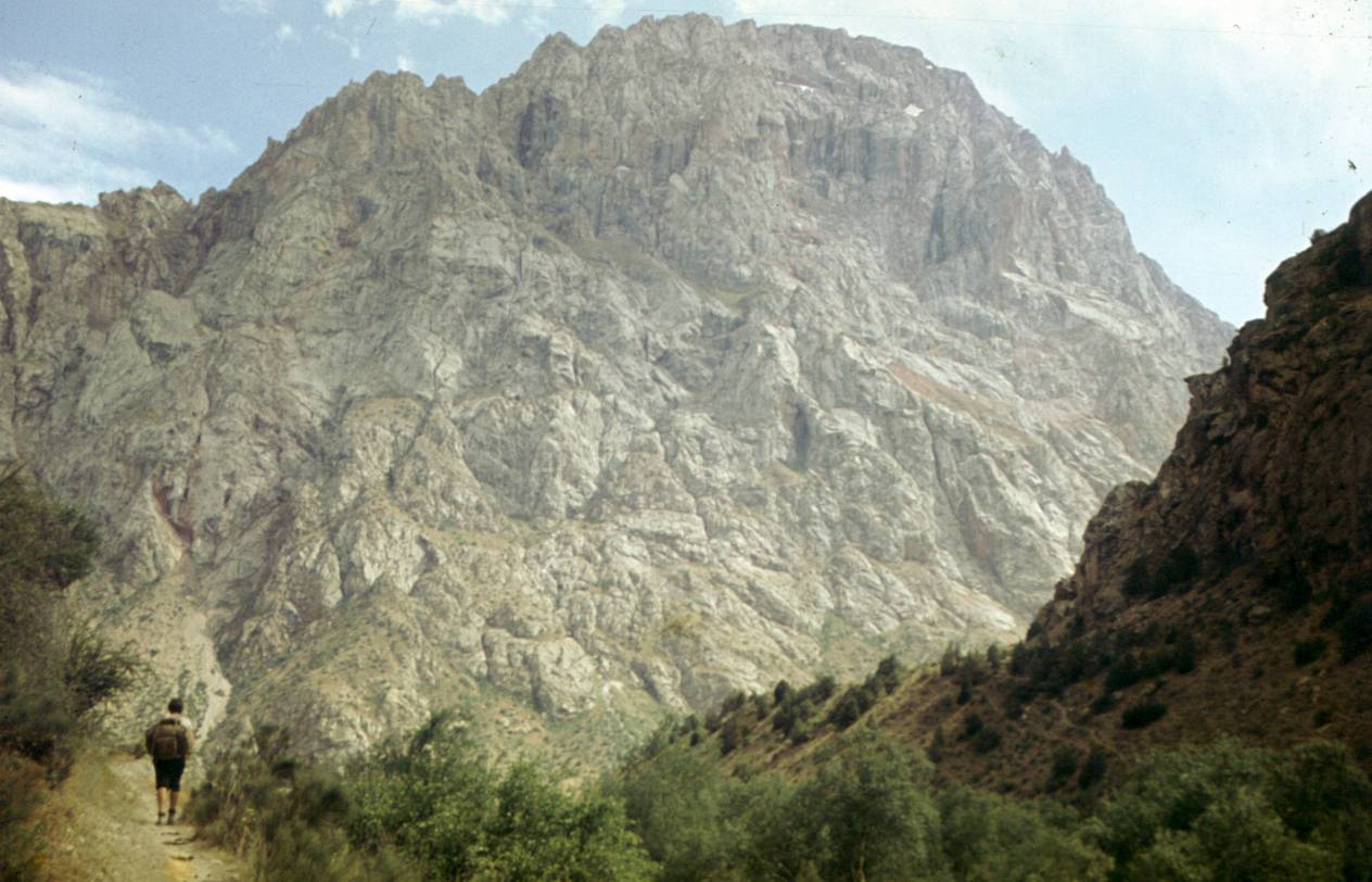 187.JPG