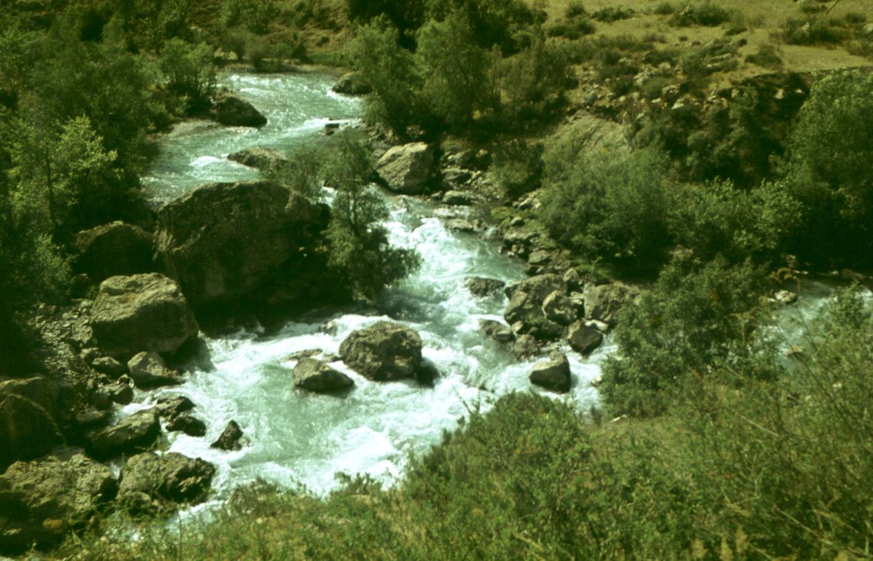 188.JPG