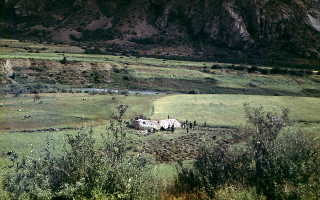 190.JPG