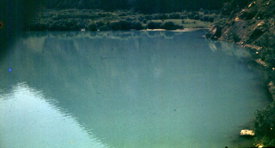 195.JPG