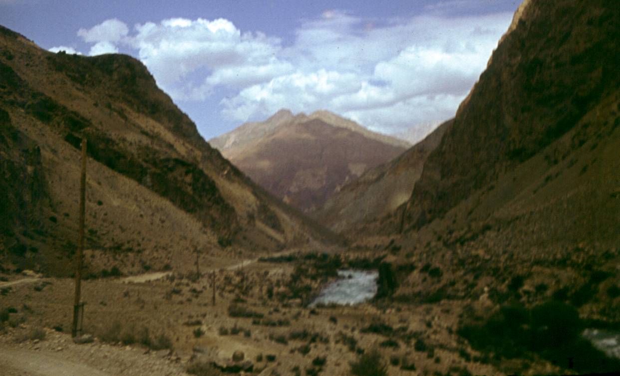 197.JPG