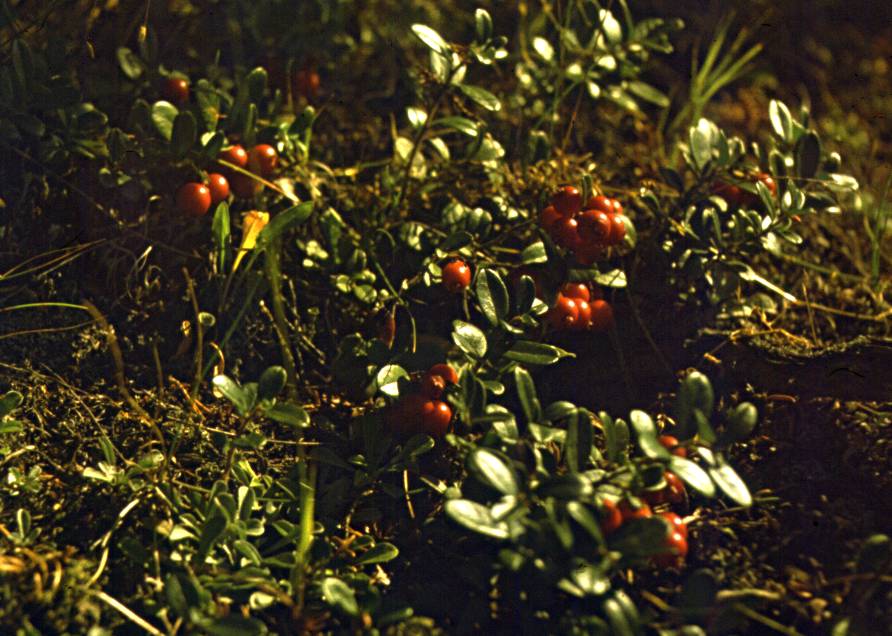 097.JPG