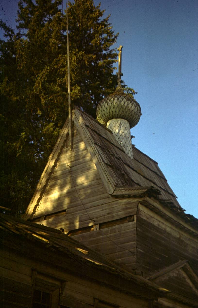 111.JPG