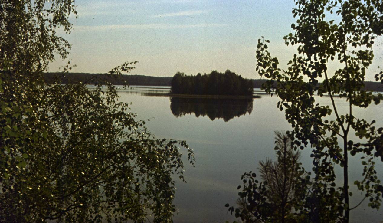 116.JPG