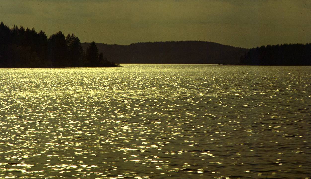 119.JPG
