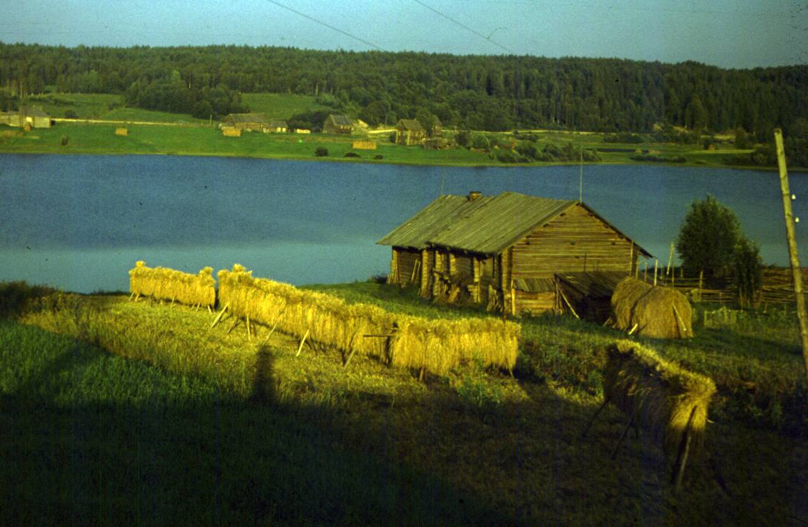 127.JPG