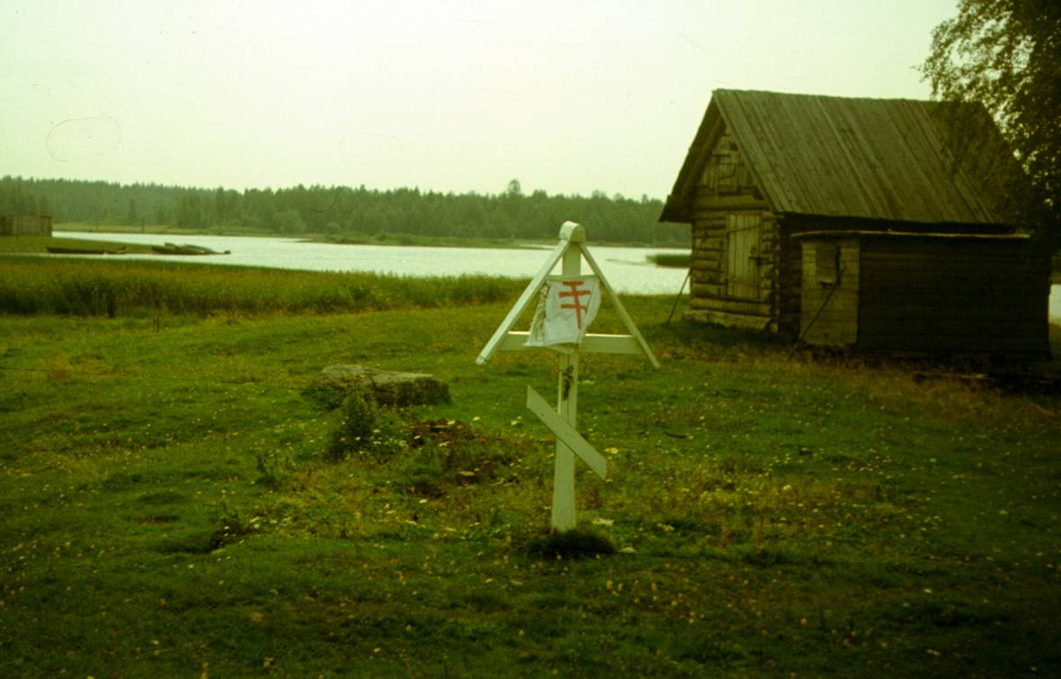 136.JPG