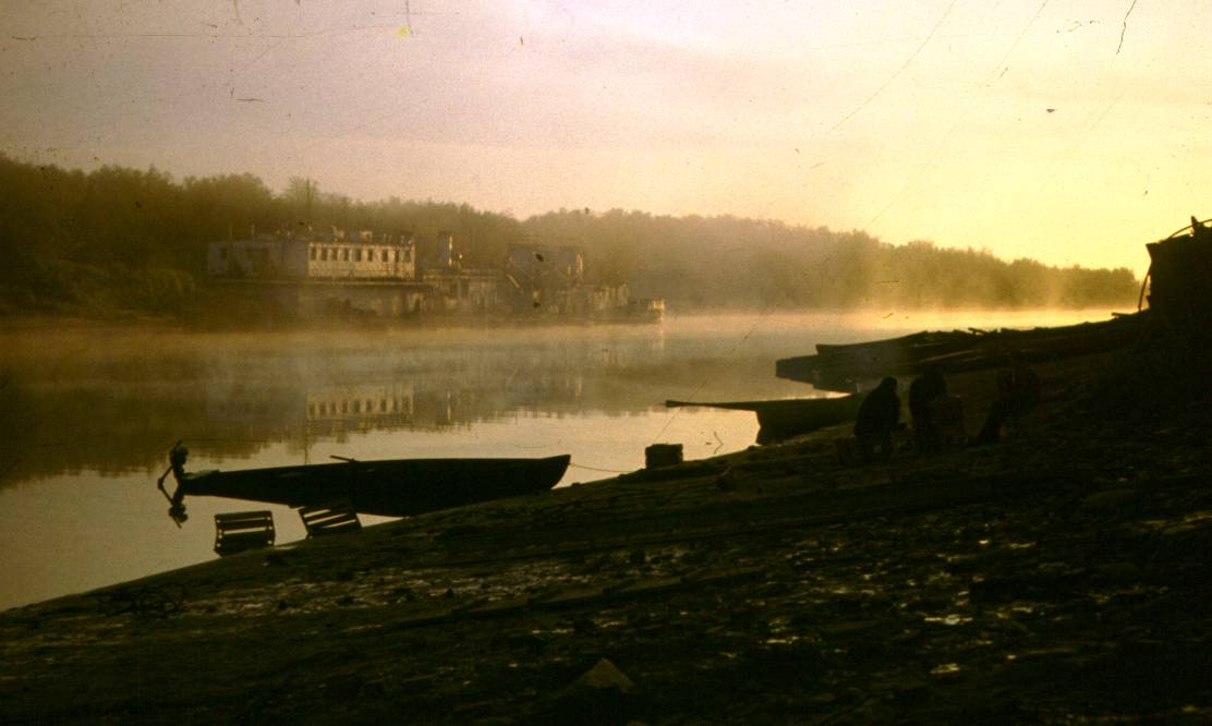 154.JPG