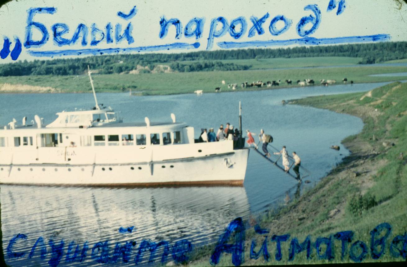 010.JPG