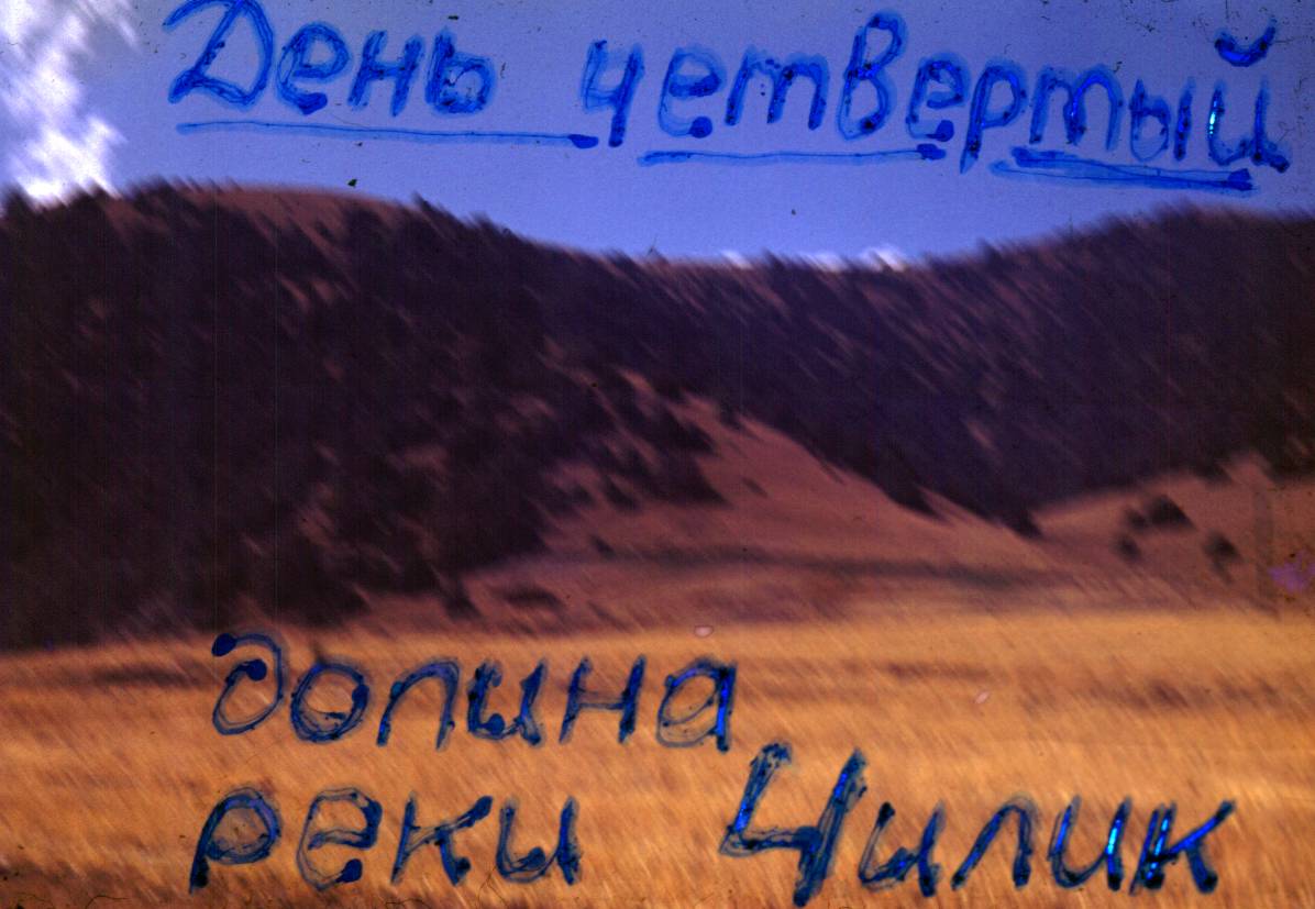 116.JPG