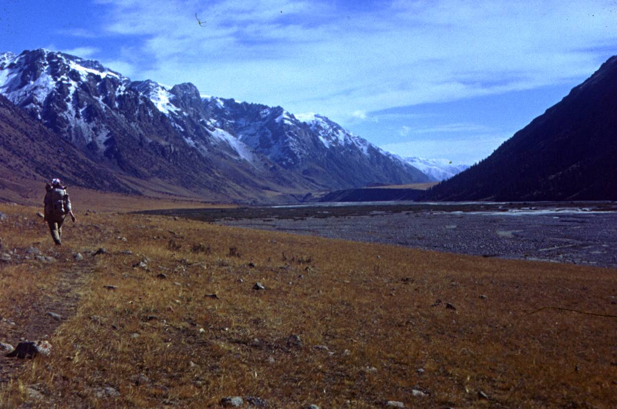 117.JPG