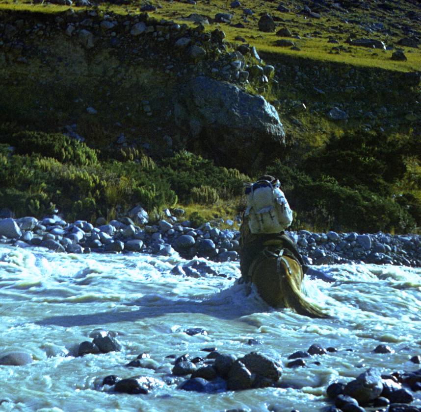 144.JPG