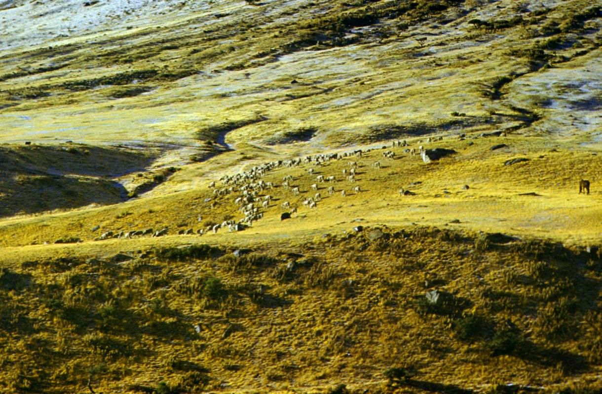 163.JPG
