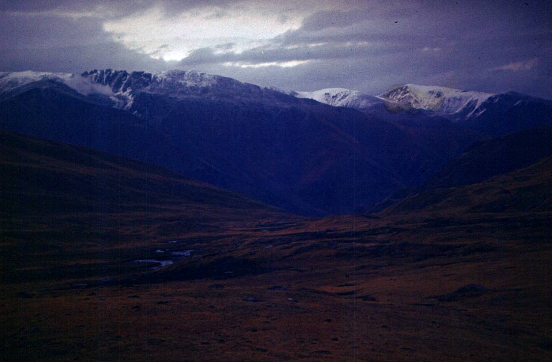 165.JPG