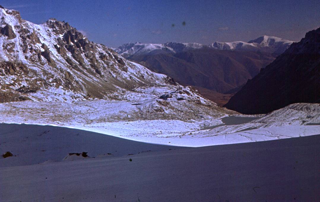 196.JPG