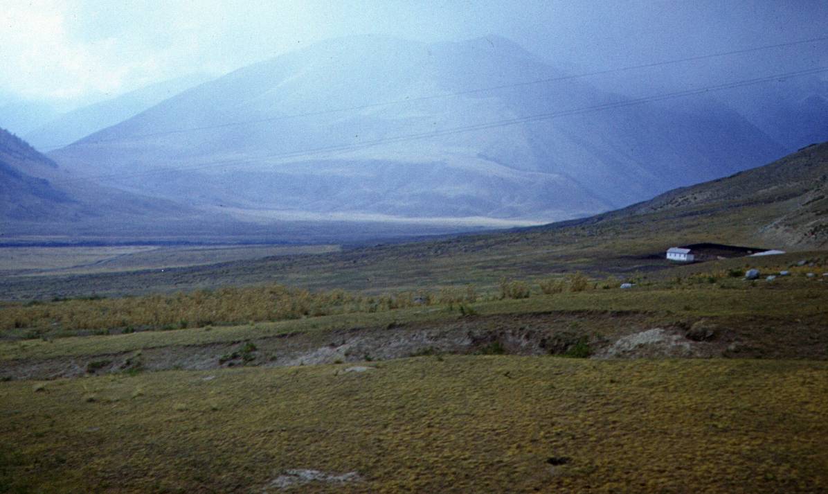222.JPG