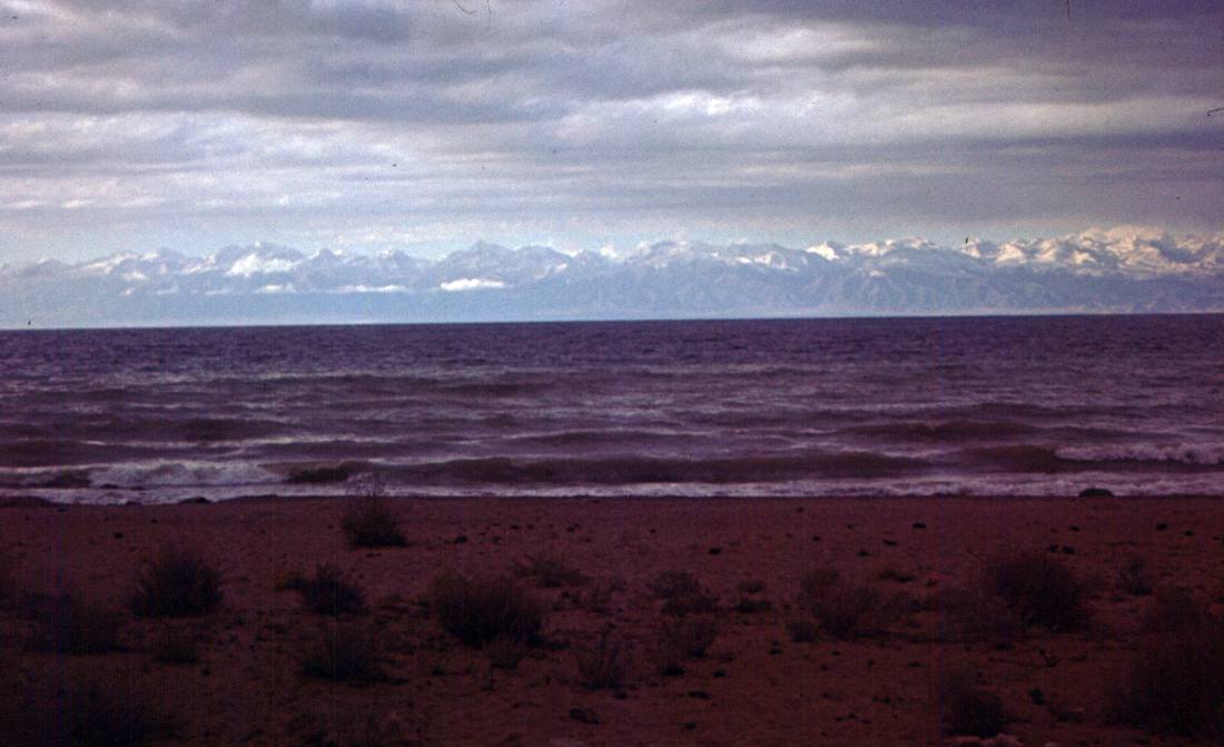 224a.JPG