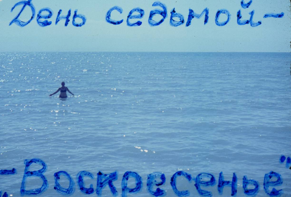 225.JPG