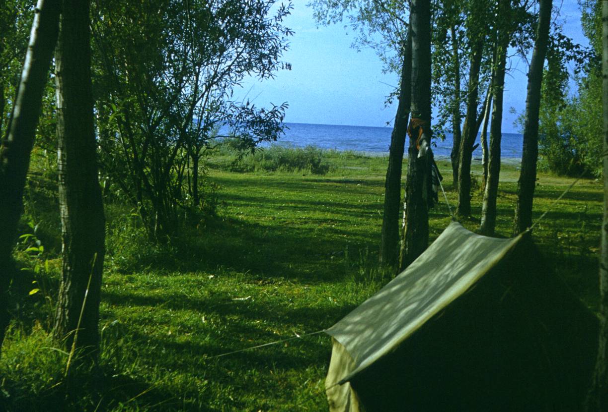 227.JPG