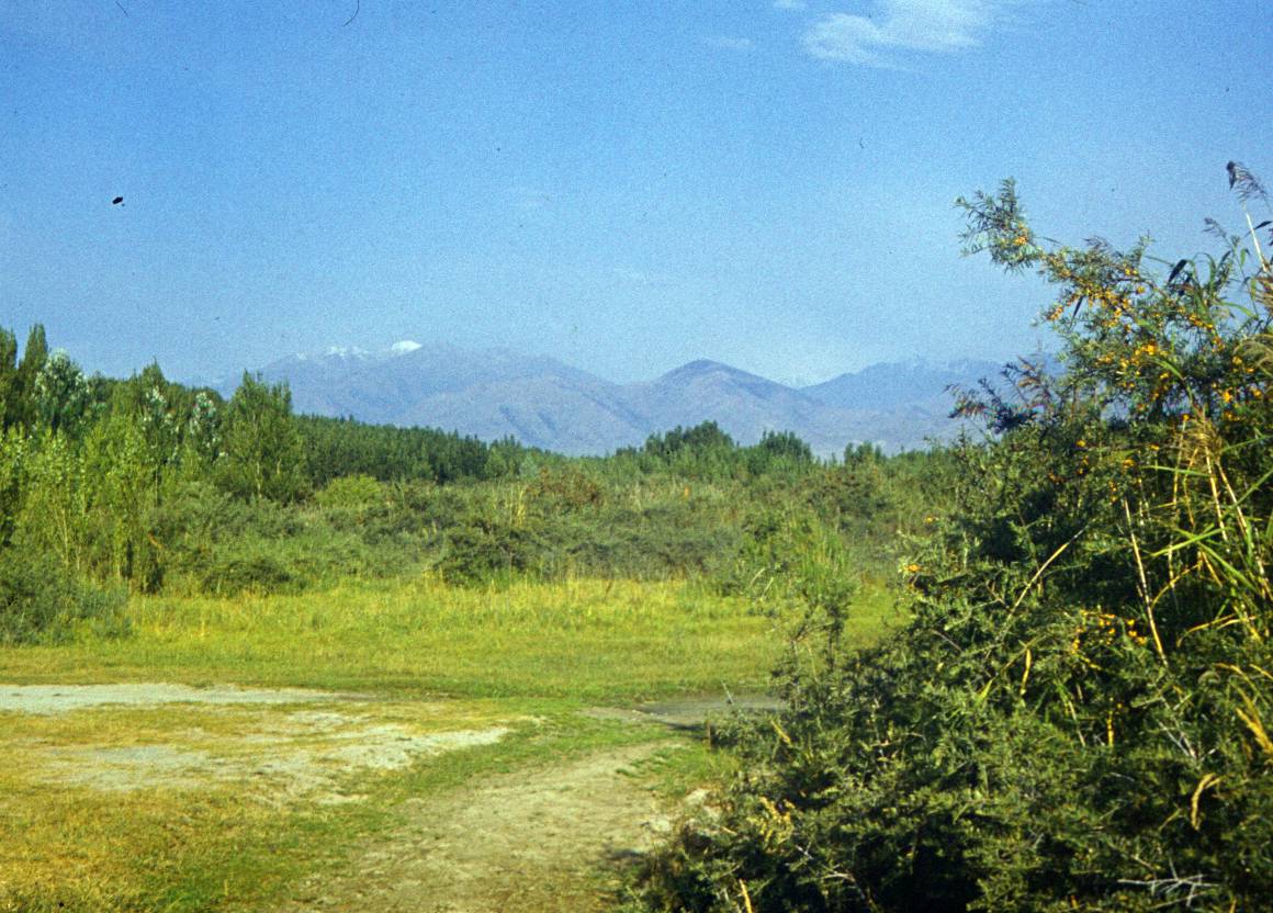 236.JPG