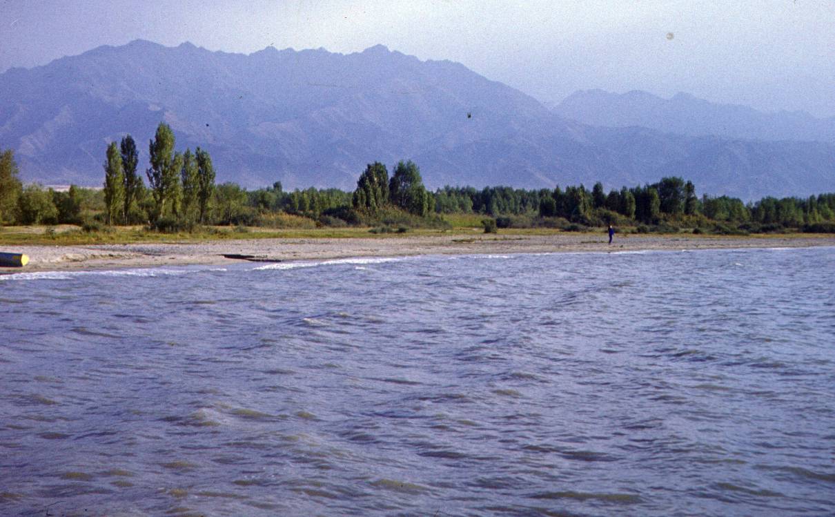 238.JPG